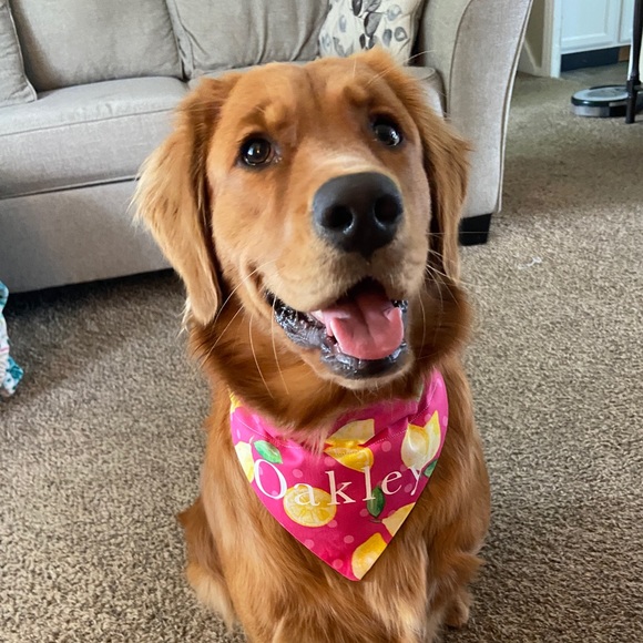 ⭐️NEW⭐️ Personalization!!! - Picture 4 of 4